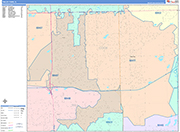 Tinley Park  Wall Map Color Cast Style